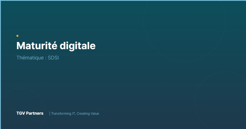 Maturité digitale - TGV Partners